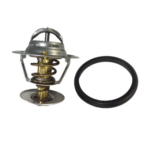 Termostato FIESTA 2003/2004  - 67695 - AVTS06008T82