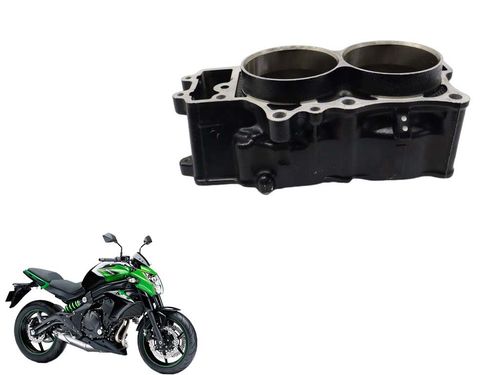 Cilindro Com Pistão e Anéis Kawasaki Er-6n Er6n 08-17