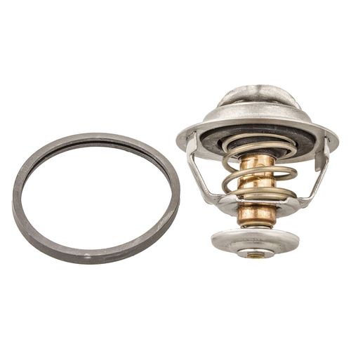 Válvula Termostática Citroen Xantia 1999 a 2001 - 168247 - 113683