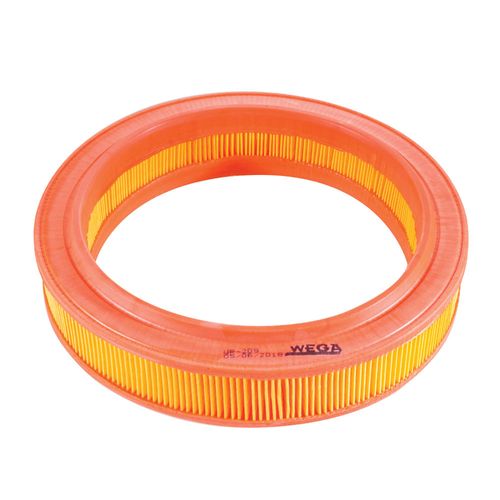 Filtro Ar Gm Ipanema 1989 a 1996 - 6863 - WR209