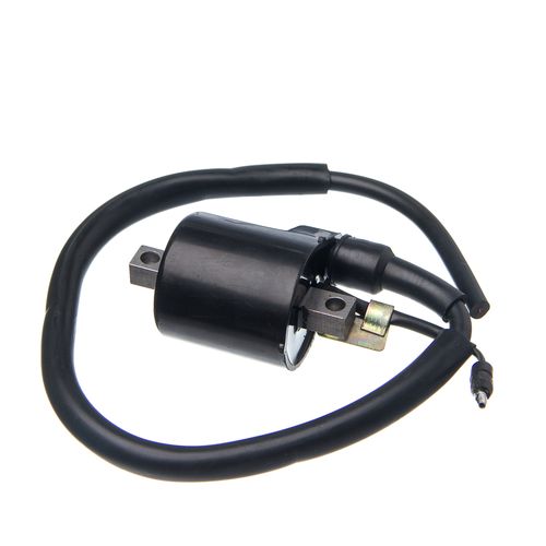 Bobina Ignicao Condor 12V Biz 125 05 A 08