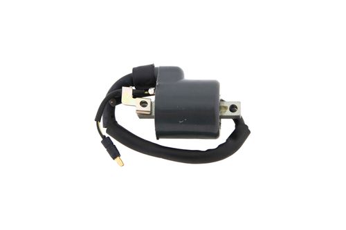 Bobina Ignicao Condor 12V Cg 150