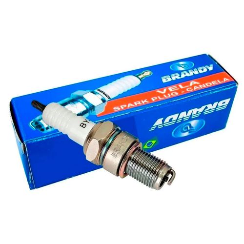 Vela Ignição Cbx250 Twister Xr250 Tornado Cb500  Brandy CR8EH-9S