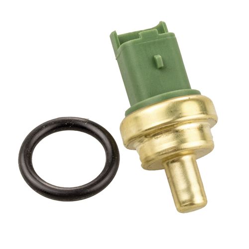 Cebolinha Temperatura C4 2006/2009 - 55478 - 44083