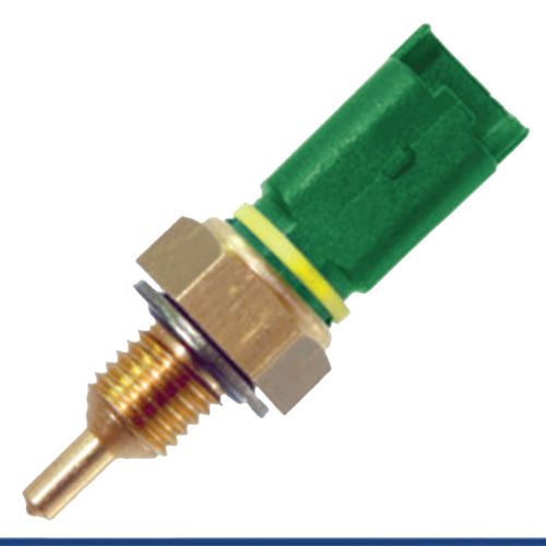 Cebolinha Temperatura EVASION 2000/2002 - 55516 - 44079