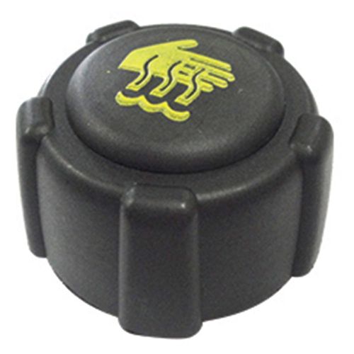 Tampa Reservatório Radiador CLIO 2000/2017 - 44125 - 25753